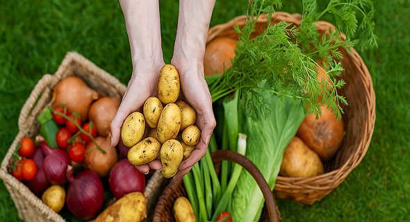 vegetables image