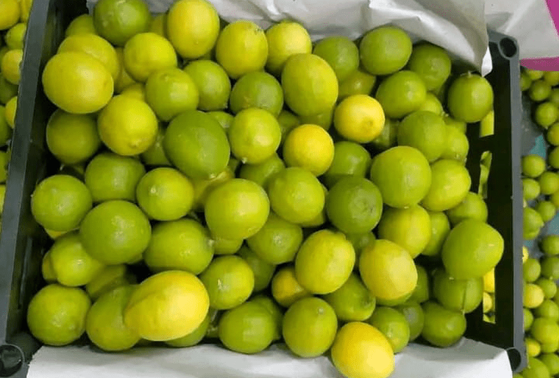 Baladi Lemon (Benzehir) - Image 1