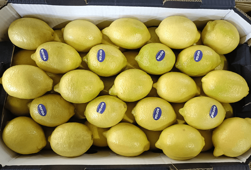 Eureka Lemon - Image 1