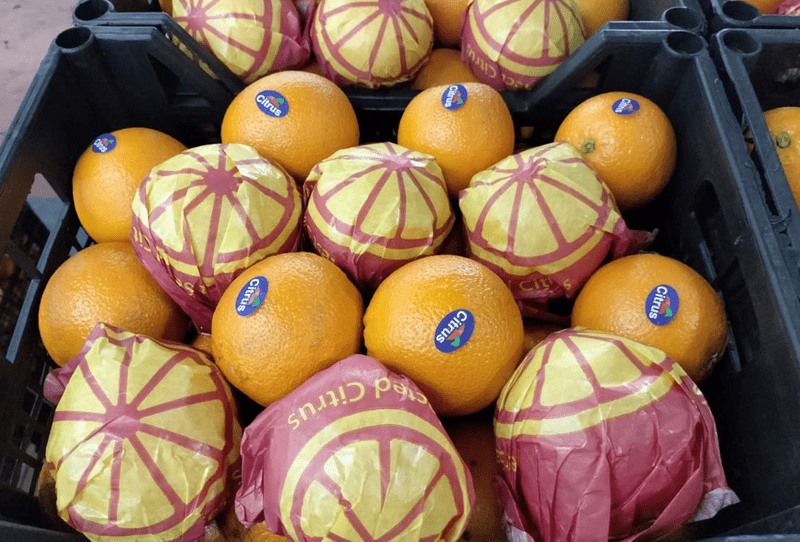 Navel Orange - Image 1