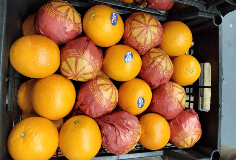 Navel Orange - Image 3