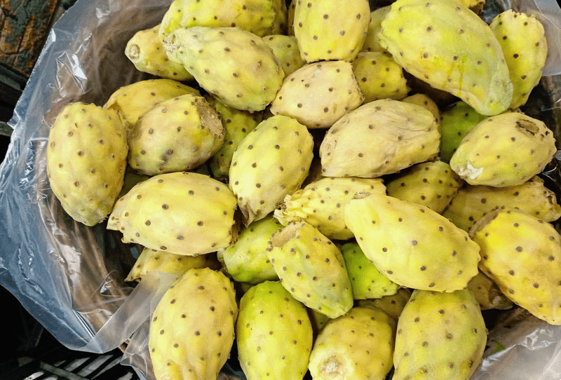 Prickly Pear - Image 2