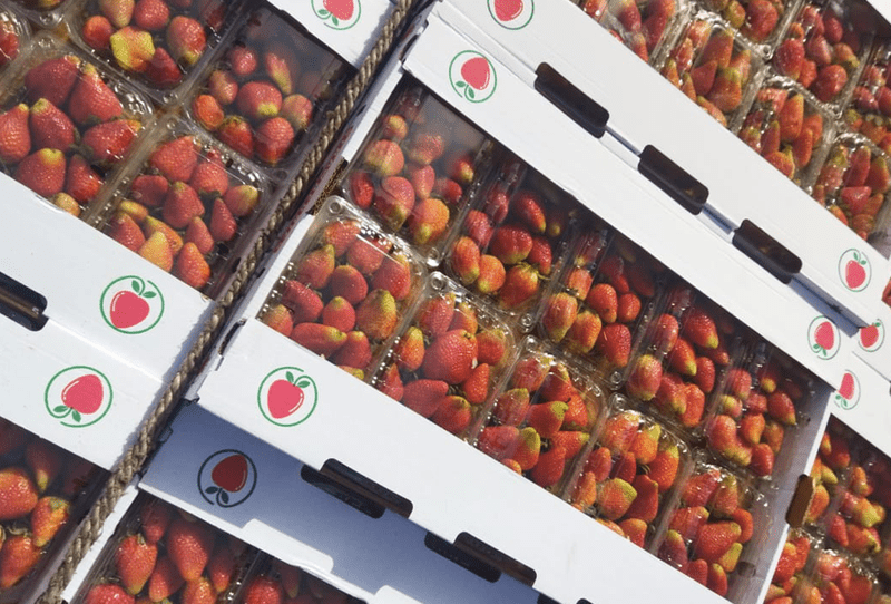 Strawberry - Image 2