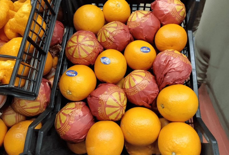 Valencia Orange - Image 1