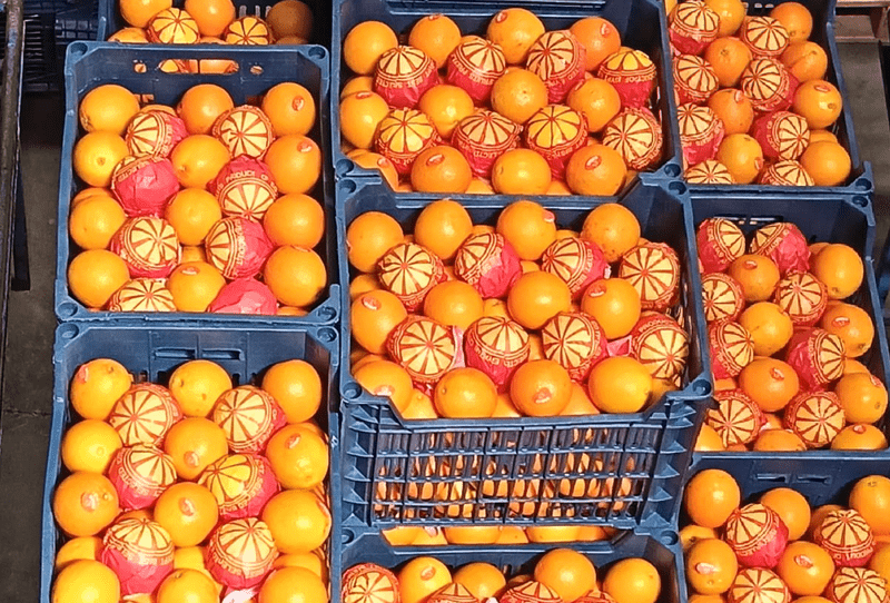 Valencia Orange - Image 2