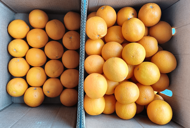 Valencia Orange - Image 3