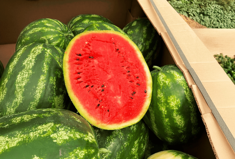 Watermelon - Image 1