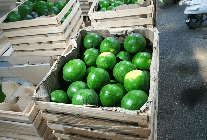 Watermelon - Image 3