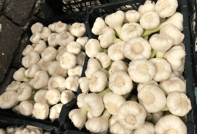 Fresh White Garlic - Image 2
