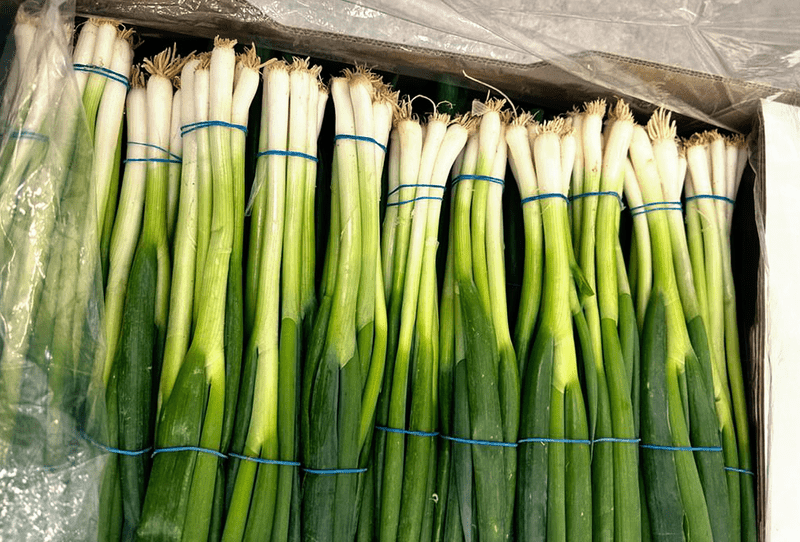 Green Onion Foton - Image 1