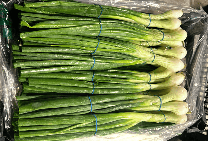 Green Onion Giza - Image 2