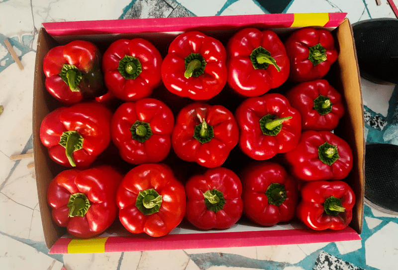 Red Bell Pepper - Image 1