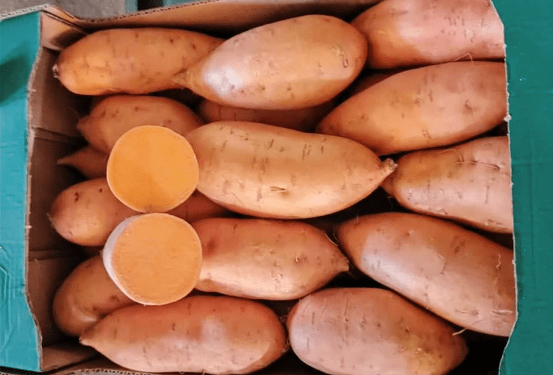 Sweet Potato - Image 1