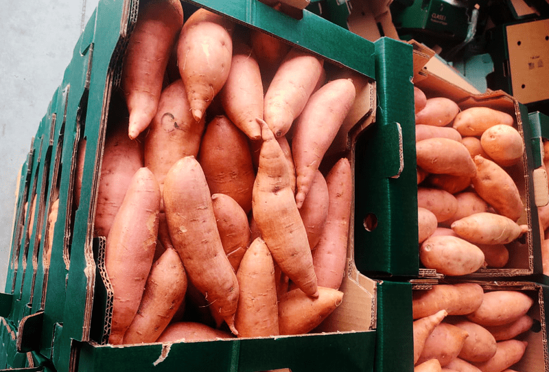Sweet Potato - Image 2