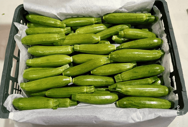 Zucchini - Image 1