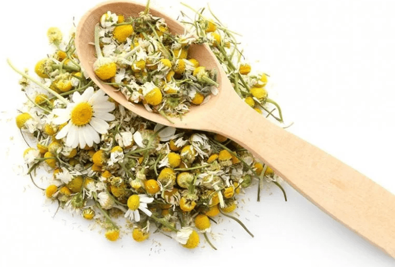 Chamomile