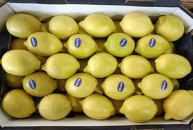 Eureka Lemon