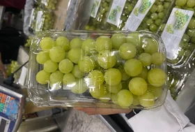 Flame Yellow Grapes