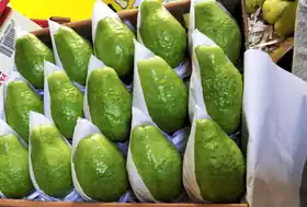 Guava