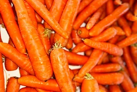 Carrot