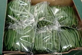 Green Beans