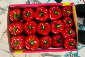 Red Bell Pepper
