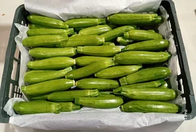 Zucchini