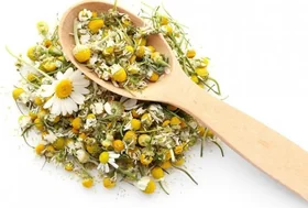 Chamomile