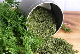 Dried Dill