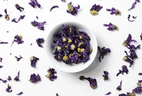Dried Mallow Flowers