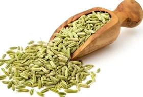 Fennel