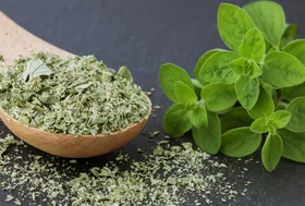 Marjoram