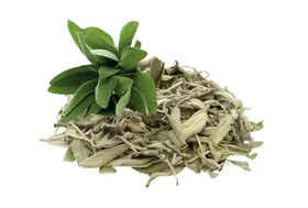 Sage