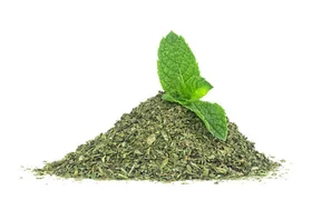 Spearmint